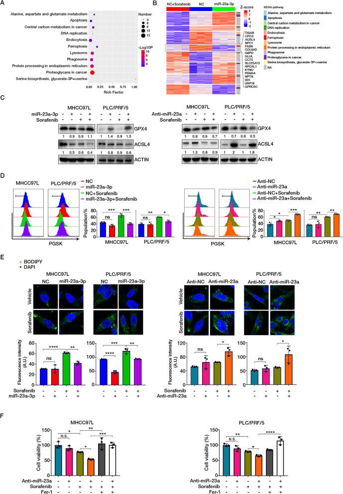 https://cdn.ncbi.nlm.nih.gov/pmc/blobs/4ef0/8722264/97e96fbce4c5/13046_2021_2208_Fig5_HTML.jpg