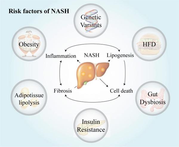 https://cdn.ncbi.nlm.nih.gov/pmc/blobs/4ef3/6382298/e6e526b4cde1/ADVS-6-1801585-g001.jpg