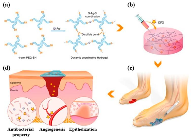 https://cdn.ncbi.nlm.nih.gov/pmc/blobs/4ef4/11942270/45dab96d6eff/gels-11-00179-g003.jpg