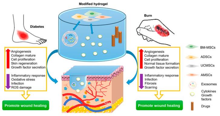 https://cdn.ncbi.nlm.nih.gov/pmc/blobs/4ef4/11942270/848b491fc599/gels-11-00179-g004.jpg