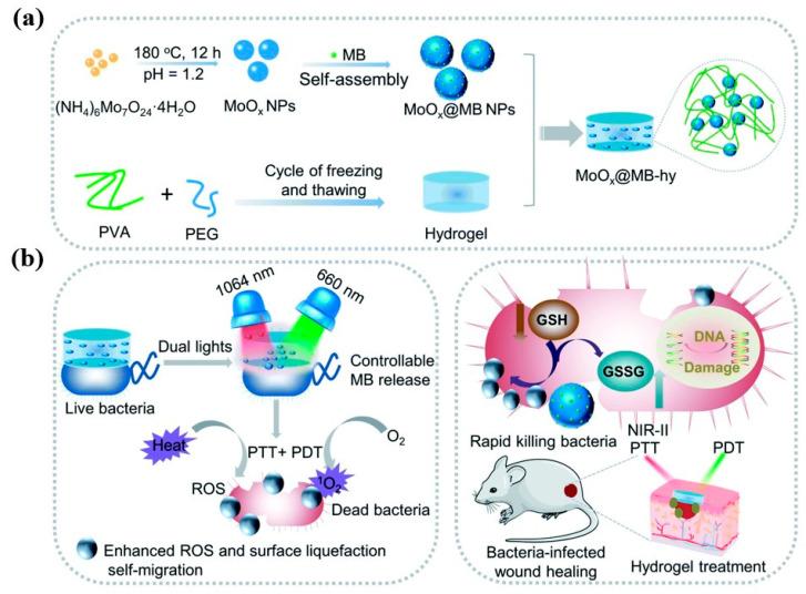 https://cdn.ncbi.nlm.nih.gov/pmc/blobs/4ef4/11942270/8d5b7b5d675a/gels-11-00179-g007.jpg