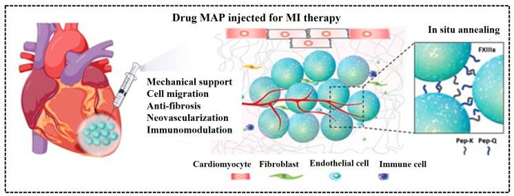 https://cdn.ncbi.nlm.nih.gov/pmc/blobs/4ef4/11942270/ad7c4782c23e/gels-11-00179-g015.jpg