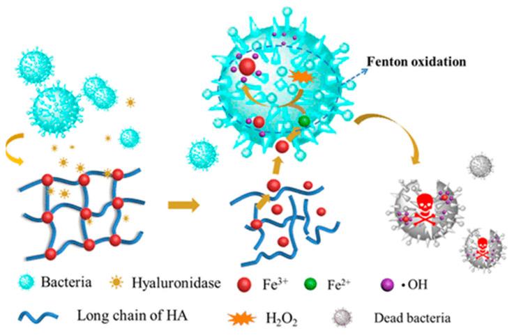 https://cdn.ncbi.nlm.nih.gov/pmc/blobs/4ef4/11942270/f6d0b0cbe77b/gels-11-00179-g008.jpg