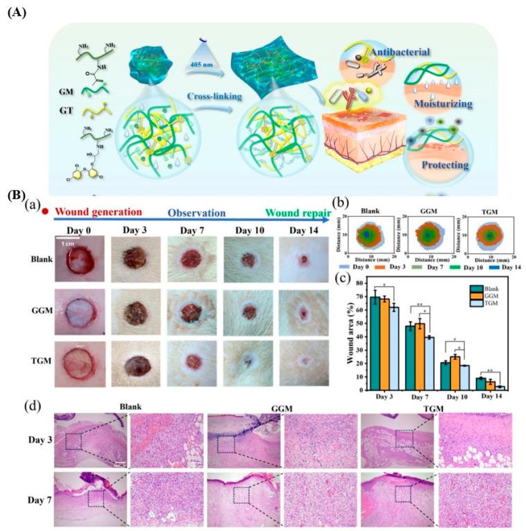 https://cdn.ncbi.nlm.nih.gov/pmc/blobs/4ef4/11942270/fdef43b0c4f1/gels-11-00179-g002.jpg