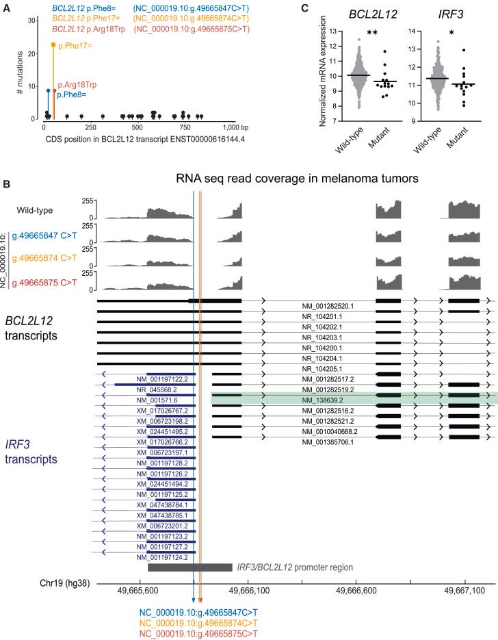 https://cdn.ncbi.nlm.nih.gov/pmc/blobs/4ef4/12256795/82c0568630da/gr2.jpg