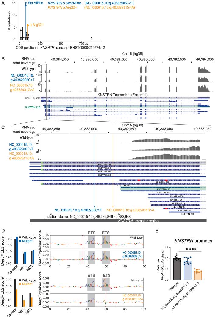https://cdn.ncbi.nlm.nih.gov/pmc/blobs/4ef4/12256795/e891724f1289/gr4.jpg