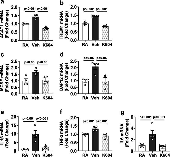 https://cdn.ncbi.nlm.nih.gov/pmc/blobs/4ef7/9869542/2f5a2f46729c/12974_2023_2700_Fig9_HTML.jpg