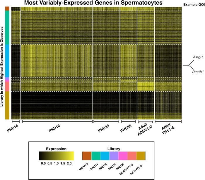 https://cdn.ncbi.nlm.nih.gov/pmc/blobs/4ef8/6443194/6e349e7b2eb7/pgen.1007810.g006.jpg