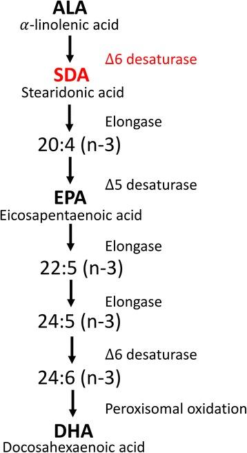 https://cdn.ncbi.nlm.nih.gov/pmc/blobs/4efc/5613458/f8837081d463/12944_2017_574_Fig1_HTML.jpg