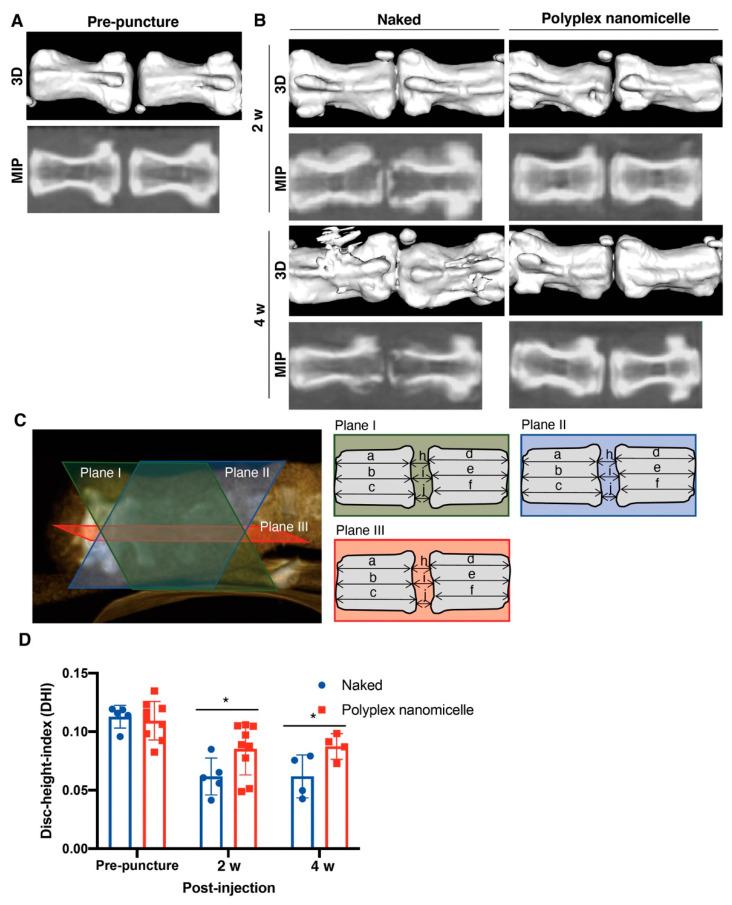 https://cdn.ncbi.nlm.nih.gov/pmc/blobs/4efc/8745749/14826057c056/ijms-23-00565-g005.jpg