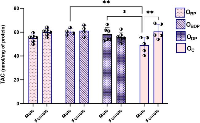 https://cdn.ncbi.nlm.nih.gov/pmc/blobs/4efd/10242028/40277477b6f7/fphys-14-1117666-g003.jpg