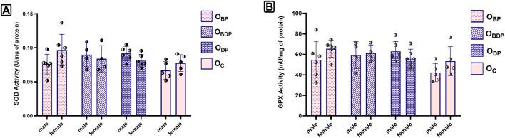 https://cdn.ncbi.nlm.nih.gov/pmc/blobs/4efd/10242028/4e0cfeb8ae48/fphys-14-1117666-g006.jpg