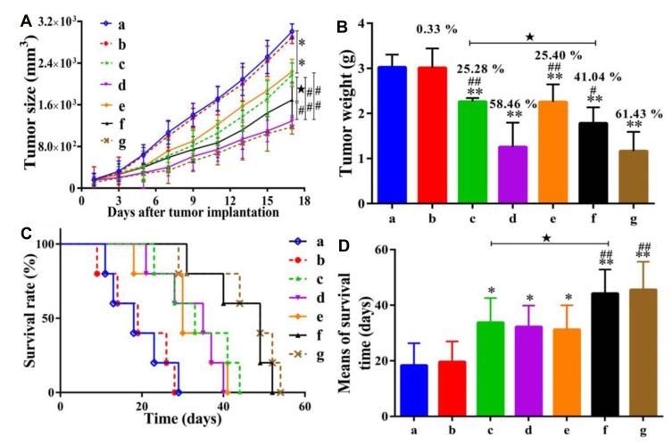 https://cdn.ncbi.nlm.nih.gov/pmc/blobs/4efe/7898224/6bd572fe8207/IJN-16-1313-g0002.jpg