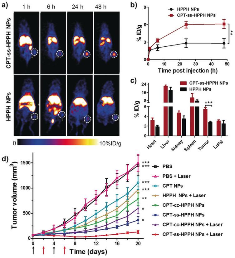 https://cdn.ncbi.nlm.nih.gov/pmc/blobs/4efe/7898224/98584015330d/IJN-16-1313-g0003.jpg