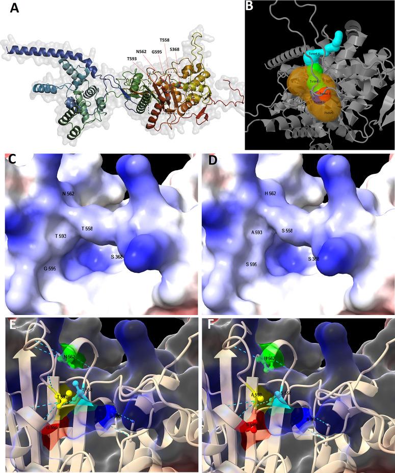 https://cdn.ncbi.nlm.nih.gov/pmc/blobs/4eff/11351044/2676d2c33efa/msphere.00089-24.f005.jpg