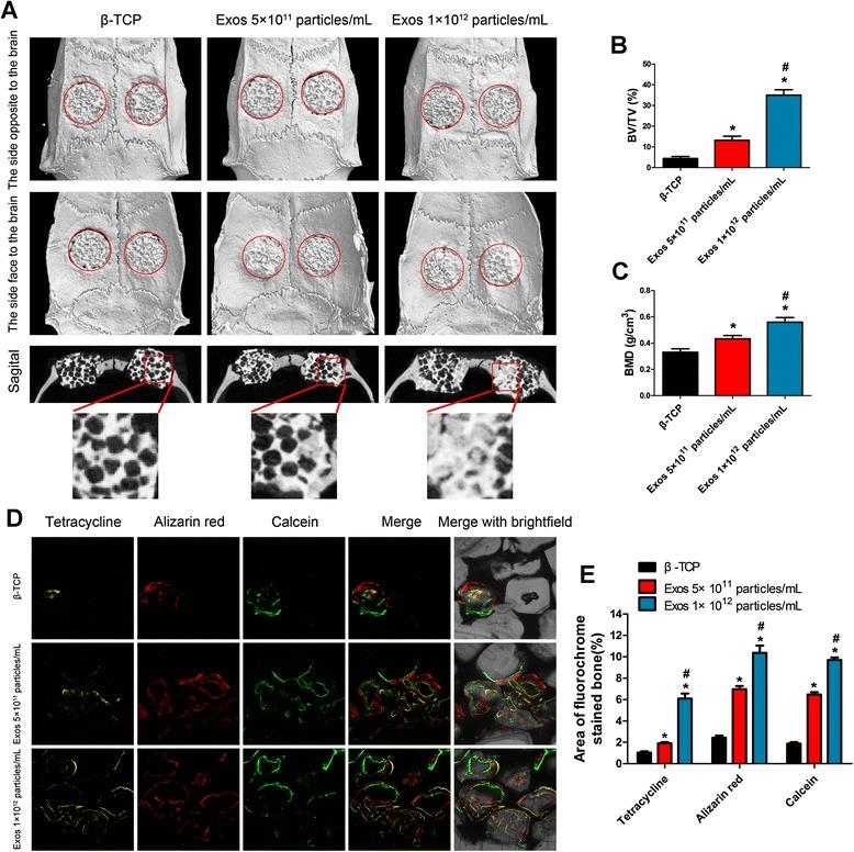 https://cdn.ncbi.nlm.nih.gov/pmc/blobs/4f02/5028974/36795764aa10/13287_2016_391_Fig2_HTML.jpg