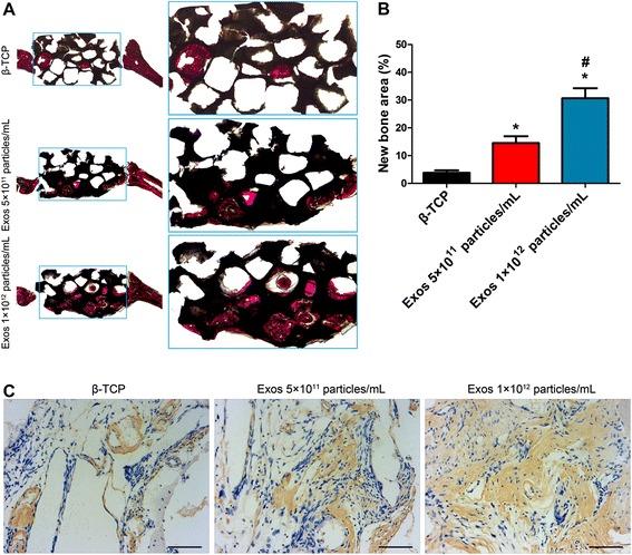 https://cdn.ncbi.nlm.nih.gov/pmc/blobs/4f02/5028974/7a421ef55888/13287_2016_391_Fig3_HTML.jpg