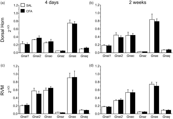 https://cdn.ncbi.nlm.nih.gov/pmc/blobs/4f02/5486491/2c95192c697e/10.1177_1744806917715210-fig3.jpg