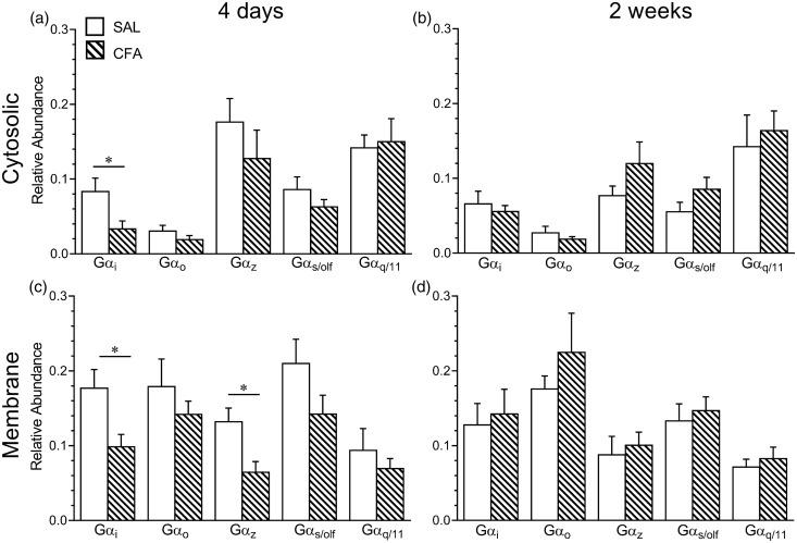 https://cdn.ncbi.nlm.nih.gov/pmc/blobs/4f02/5486491/608ebaeecb1b/10.1177_1744806917715210-fig4.jpg