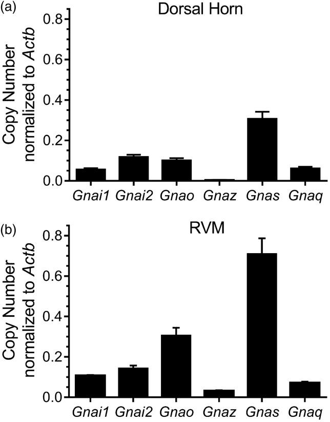 https://cdn.ncbi.nlm.nih.gov/pmc/blobs/4f02/5486491/c735d0f0f27f/10.1177_1744806917715210-fig2.jpg