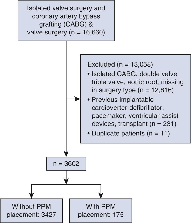 https://cdn.ncbi.nlm.nih.gov/pmc/blobs/4f02/9390660/823cb500d60e/gr1.jpg