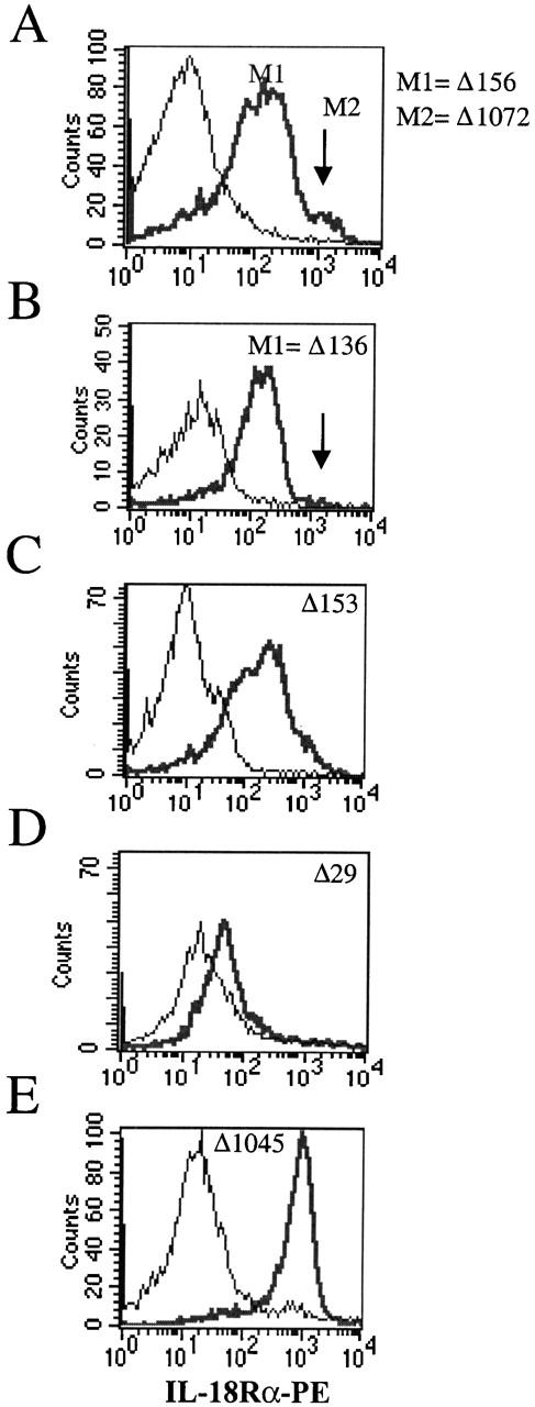https://cdn.ncbi.nlm.nih.gov/pmc/blobs/4f05/2193456/041a8d06df1c/JEM010403.f1.jpg
