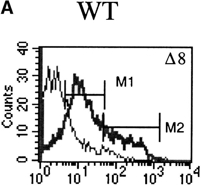 https://cdn.ncbi.nlm.nih.gov/pmc/blobs/4f05/2193456/2b65811901a7/JEM010403.f4a.jpg