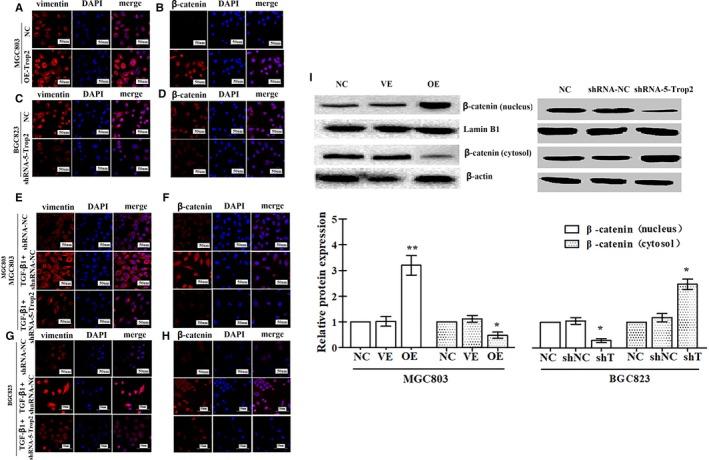 https://cdn.ncbi.nlm.nih.gov/pmc/blobs/4f07/6434498/c81db3907421/CAM4-8-1135-g003.jpg
