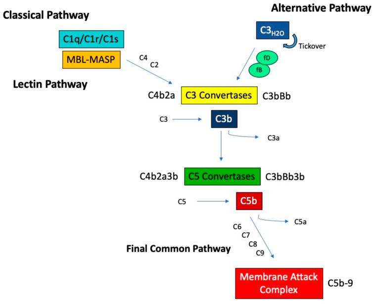 https://cdn.ncbi.nlm.nih.gov/pmc/blobs/4f09/7915321/7919c698b800/jcm-10-00626-g001.jpg