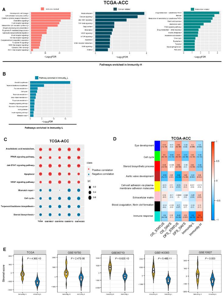 https://cdn.ncbi.nlm.nih.gov/pmc/blobs/4f0c/9855412/182fd2b83f20/biomolecules-13-00104-g006.jpg