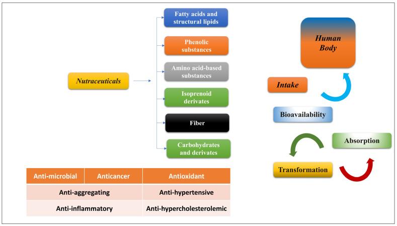 https://cdn.ncbi.nlm.nih.gov/pmc/blobs/4f0e/10377558/48f81cd9f9f8/biomedicines-11-02078-g001.jpg