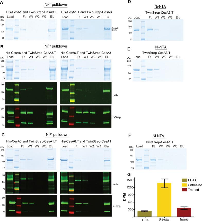 https://cdn.ncbi.nlm.nih.gov/pmc/blobs/4f0f/12077881/a30ddd9a0fe2/elife-96704-fig7-figsupp2.jpg