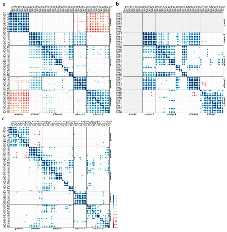 https://cdn.ncbi.nlm.nih.gov/pmc/blobs/4f10/10297309/9f6961c945ea/cells-12-01639-g005.jpg