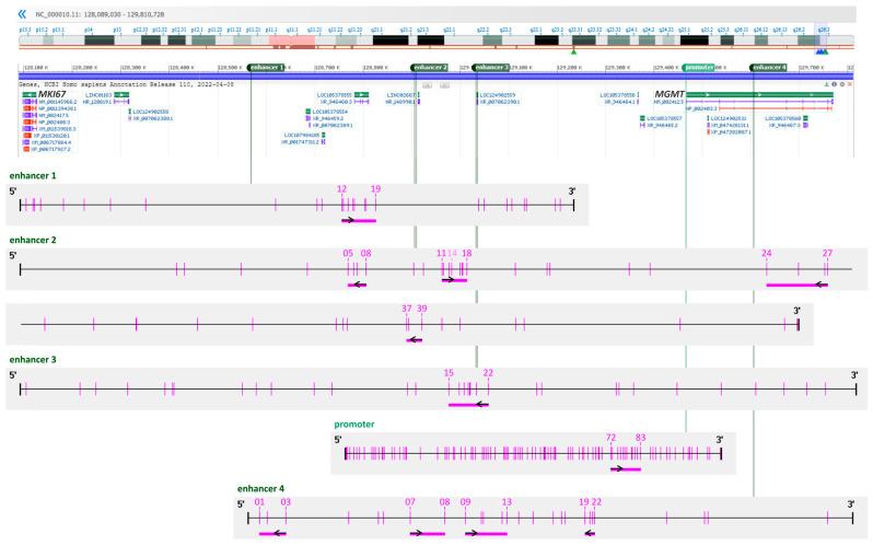 https://cdn.ncbi.nlm.nih.gov/pmc/blobs/4f10/10297309/ba83c8e7e521/cells-12-01639-g001.jpg