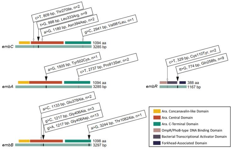 https://cdn.ncbi.nlm.nih.gov/pmc/blobs/4f13/11273804/7c686a427037/antibiotics-13-00624-g002.jpg