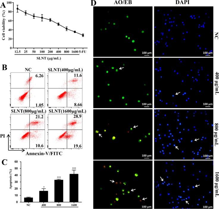 https://cdn.ncbi.nlm.nih.gov/pmc/blobs/4f13/5352182/df87c5270abc/oncotarget-08-610-g001.jpg
