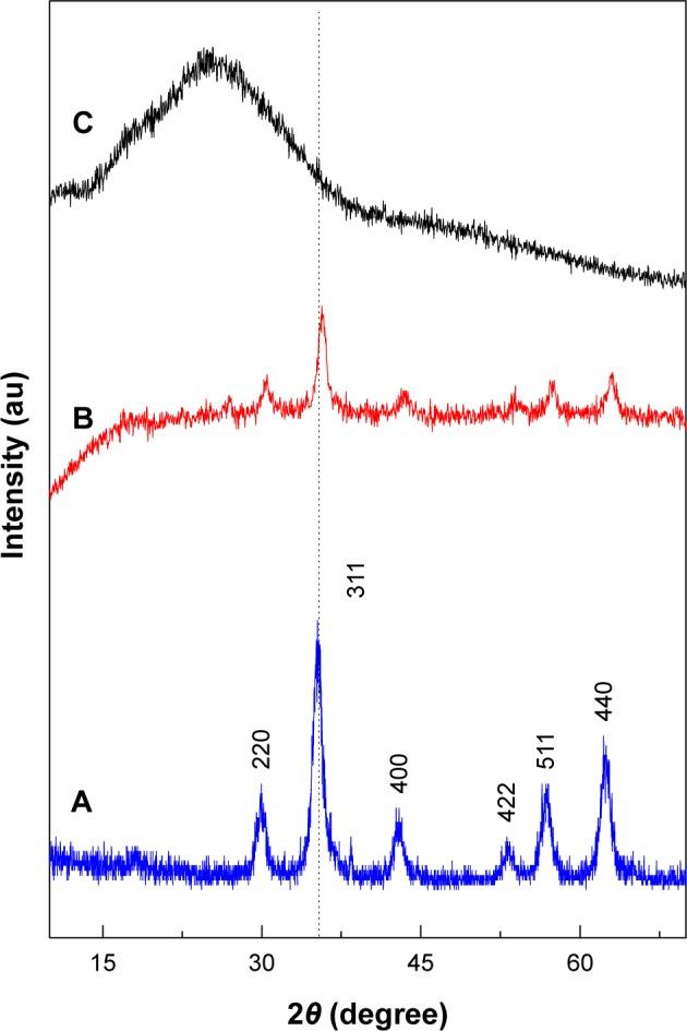 https://cdn.ncbi.nlm.nih.gov/pmc/blobs/4f13/5376211/37cdd21fb0e9/ijn-12-2361Fig1.jpg