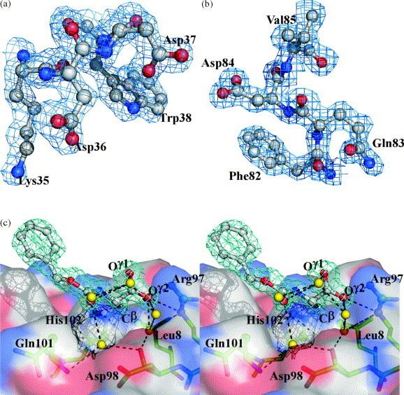 https://cdn.ncbi.nlm.nih.gov/pmc/blobs/4f13/7118759/70b635a87d74/gr5.jpg