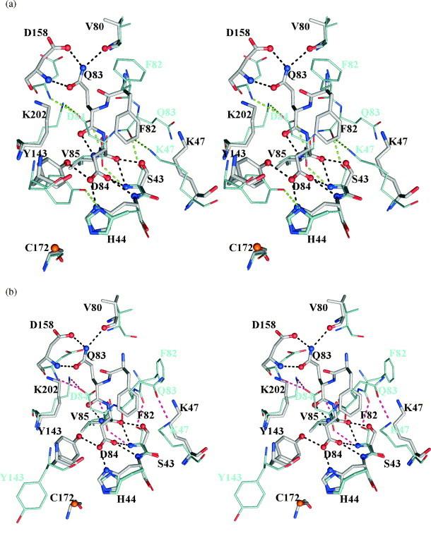 https://cdn.ncbi.nlm.nih.gov/pmc/blobs/4f13/7118759/7e7d0278da61/gr9.jpg