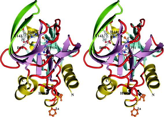 https://cdn.ncbi.nlm.nih.gov/pmc/blobs/4f13/7118759/8cbbcd8eb4b2/gr6.jpg