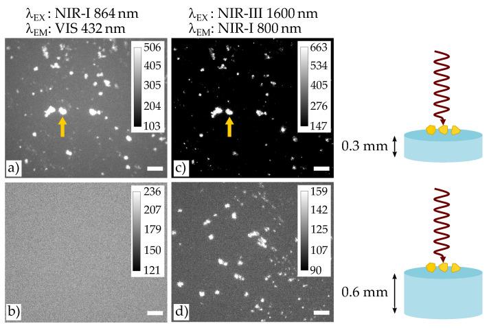 https://cdn.ncbi.nlm.nih.gov/pmc/blobs/4f14/8706685/72a769e3e82b/nanomaterials-11-03193-g004.jpg