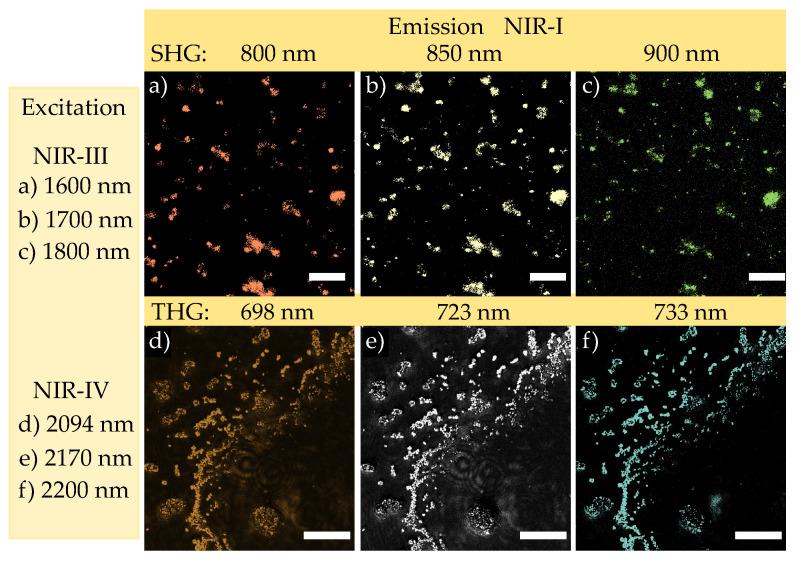https://cdn.ncbi.nlm.nih.gov/pmc/blobs/4f14/8706685/c4080f3c937a/nanomaterials-11-03193-g003.jpg
