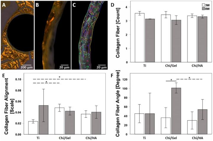 https://cdn.ncbi.nlm.nih.gov/pmc/blobs/4f18/8745552/685b3d0feb37/ijms-23-00374-g004.jpg