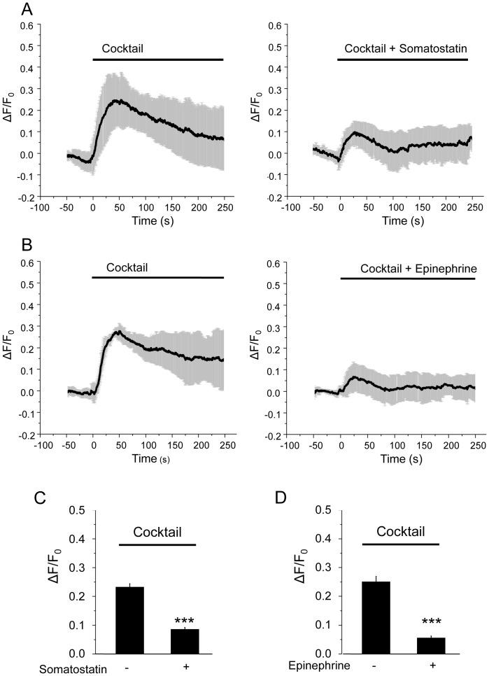 https://cdn.ncbi.nlm.nih.gov/pmc/blobs/4f1b/3913683/185c95341766/pone.0087758.g003.jpg