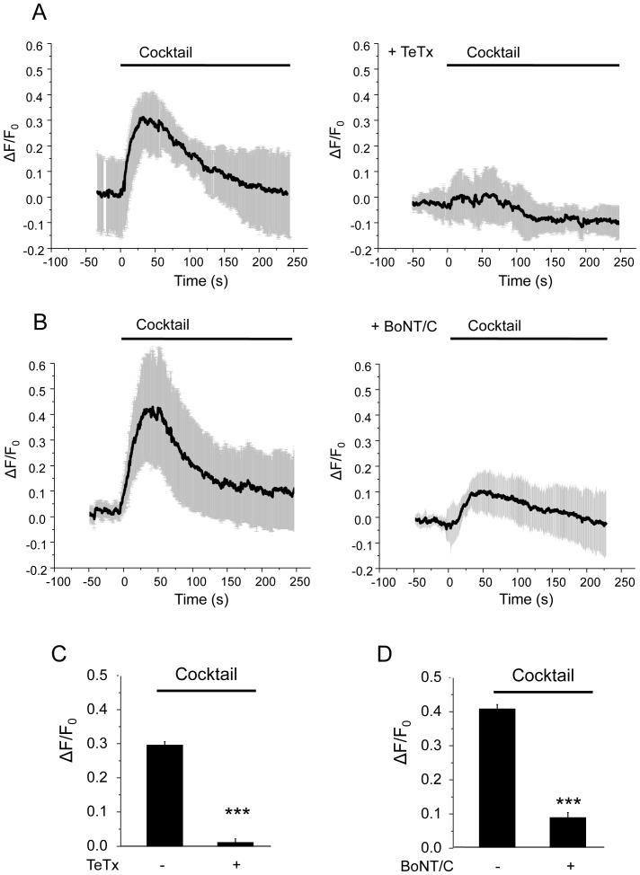 https://cdn.ncbi.nlm.nih.gov/pmc/blobs/4f1b/3913683/4b5e0c5dd74b/pone.0087758.g004.jpg