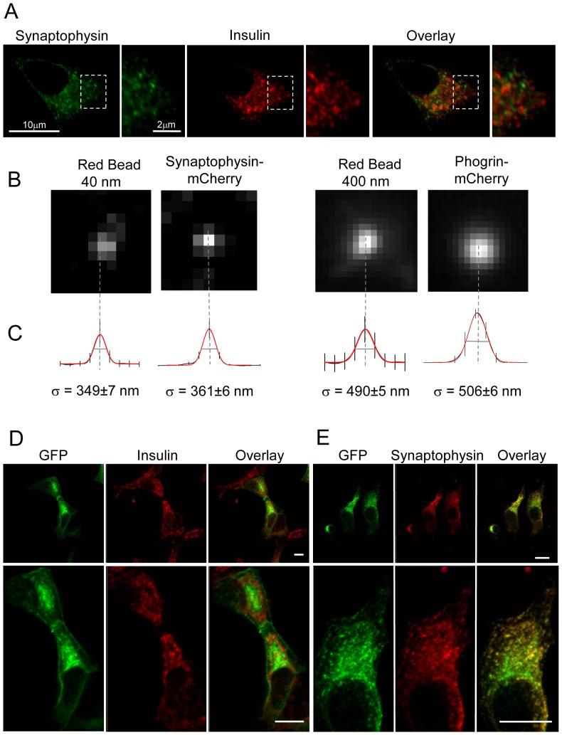 https://cdn.ncbi.nlm.nih.gov/pmc/blobs/4f1b/3913683/89530ce41fd5/pone.0087758.g001.jpg