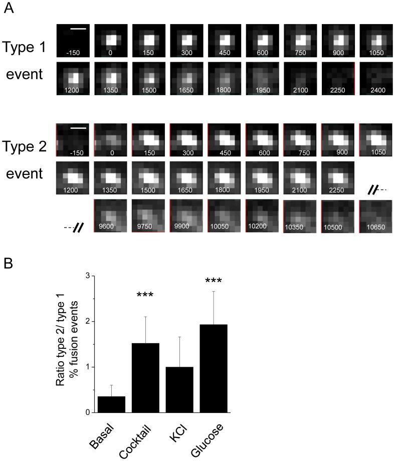 https://cdn.ncbi.nlm.nih.gov/pmc/blobs/4f1b/3913683/d42d8878e484/pone.0087758.g008.jpg