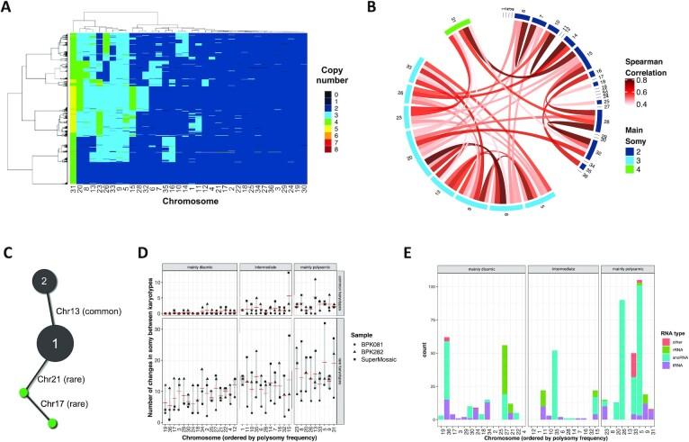 https://cdn.ncbi.nlm.nih.gov/pmc/blobs/4f1e/8886908/806bf211d4fb/gkab1203fig3.jpg