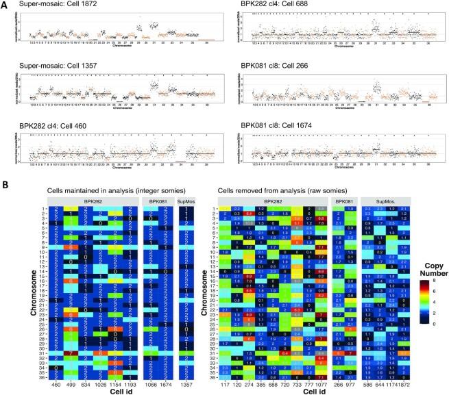 https://cdn.ncbi.nlm.nih.gov/pmc/blobs/4f1e/8886908/bec6bb3fd89c/gkab1203fig4.jpg