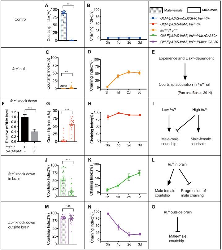 https://cdn.ncbi.nlm.nih.gov/pmc/blobs/4f1f/7861613/a0ab8bbac1bf/elife-59224-fig3.jpg